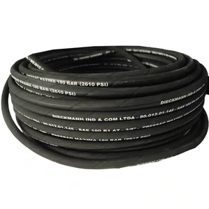 Mangueira Hidraulica SAE 100 R1 AT - 3/8 - 1m